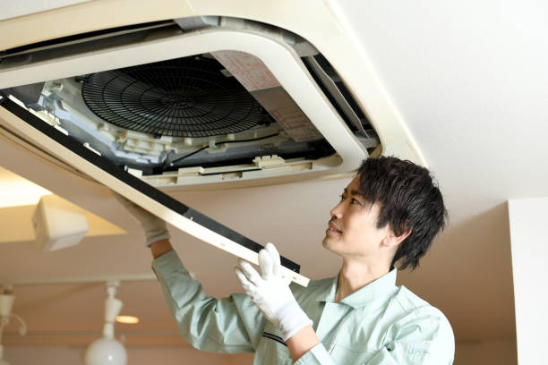 Best Local Air Duct Cleaning Services  in Hackberry, TX