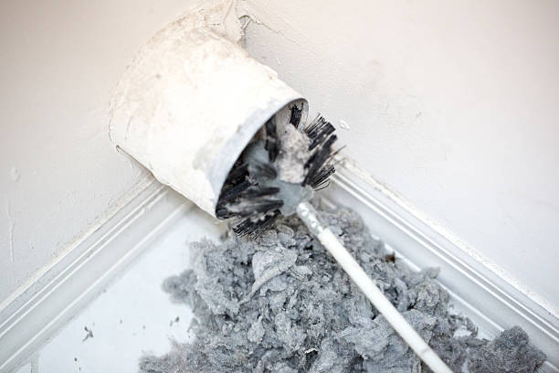 Best Affordable Duct Cleaning Services  in Hackberry, TX