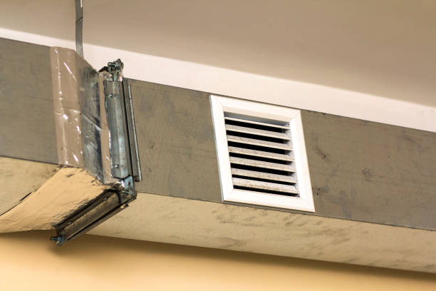 Air Duct Mold Removal in Hackberry, TX
